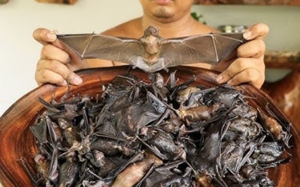 New Jersey Homicide Suspect Arrested in Harrisburg After Hiding in Dryer