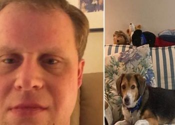 NYPD Officer Killed in Fiery Hit-and-Run Crash on BQE; Driver Sought