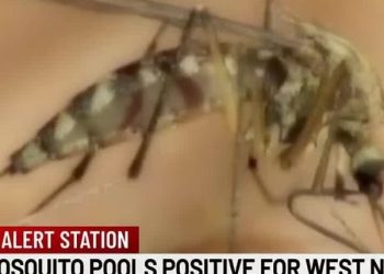 Popular Indiana Retailer to Close All Stores for One Day