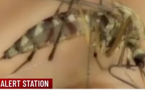 Popular Indiana Retailer to Close All Stores for One Day