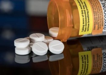 LaPorte Woman Charged After Alleged $1,000 Kohl’s Theft; Oxycodone Found in Purse