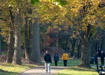 One Person Killed After Being Struck by Vehicle in Indianapolis