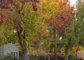 Wayne, NJ Homeowners Face Warm, Dry Fall, Almanac Says